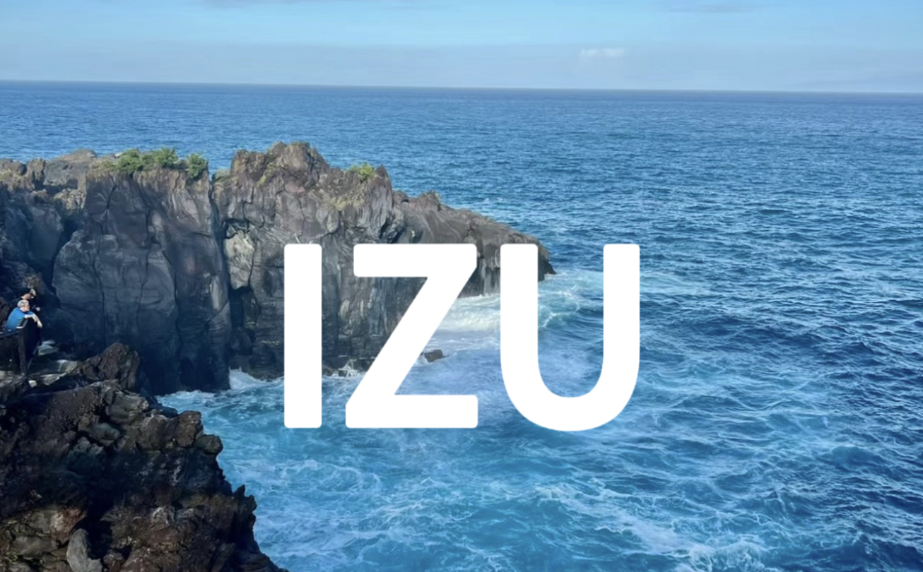 LOST IN TOKYO③ | 东京近郊一日攻略—伊豆篇